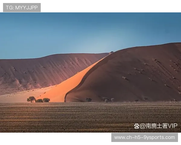 “荒原之王！——沙丘和泥泞中的极速争霸战”，荒原沙漠