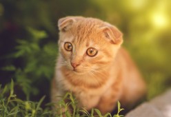 九游娱乐中心-冬奥集训引入先进训练设备提高效果，冬奥集训引入先进训练设备提高效果如何