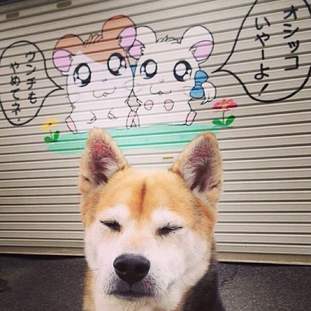 692.意甲“明星战” :伊卡尔迪PK因莫比莱