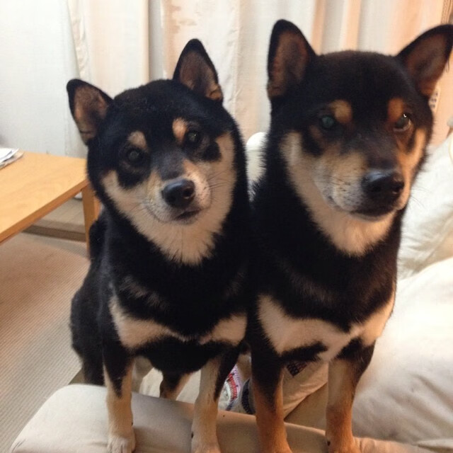 北大教授坠机事件始末梳理，北大教授坠机事件始末梳理了什么